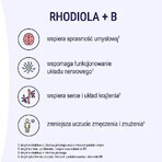 Naturell Rhodiola + B, 60 tablets