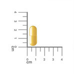 Estabiom Junior, voor kinderen vanaf 3 jaar, 20 capsules