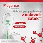 Flegamax 50 mg/ml, oplossing voor oraal gebruik, 120 ml