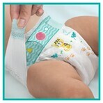 Pampers Active Baby, diapers, size 4, 9-14 kg, 74 pcs