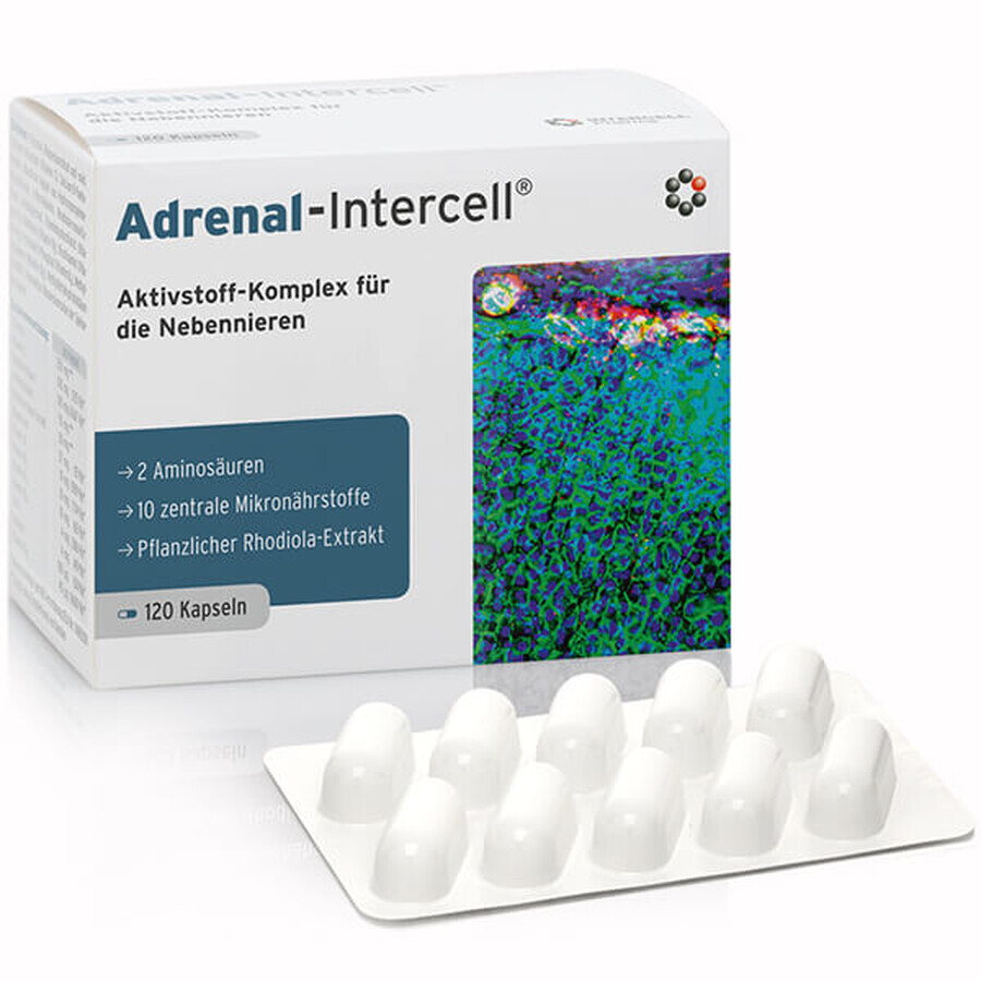 Mito-Pharma Adrenal-Intercell, 120 capsule