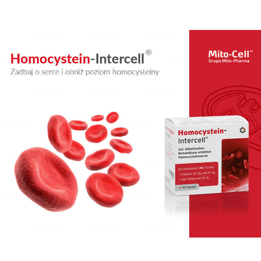 Mito-Pharma Homocystein Intercell, 90 Kapseln