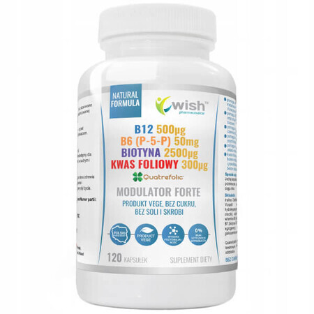 Wish B12 + B6 (P-5-P) + Biotine + Acide Folique Modulateur Forte, 120 gélules