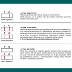 Pylori-Screen, prueba rápida para detectar anticuerpos contra Helicobacter pylori, 1 pieza