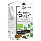 Gift of Nature Chaga Berkentumor, 60 capsules