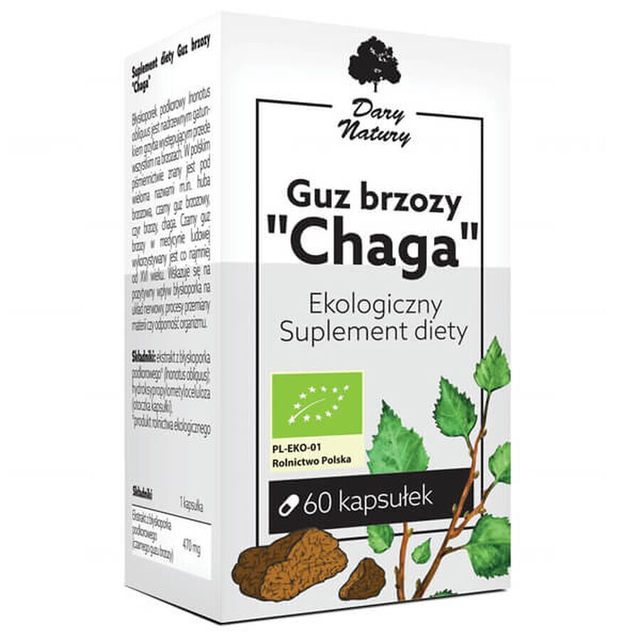 Gift of Nature Chaga Berkentumor, 60 capsules