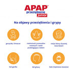 Apap Przeziębienie Junior 300 mg + 20 mg + 5 mg, poeder voor orale oplossing, 6 sachets