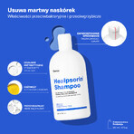 Healpsorin, shampoo for scalp care with psoriatic lesions, 500 ml