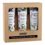 Anwen set, conditioners voor zeer poreus haar, 3 x 100 ml