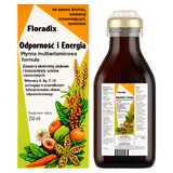 Floradix Immuniteit en Energie, 250 ml