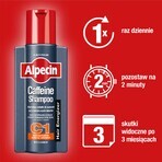 Alpecin Cafeïne, haarshampoo C1, 250 ml