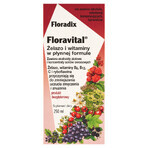 Floradix, Floravital, Gluten Free, 250 ml