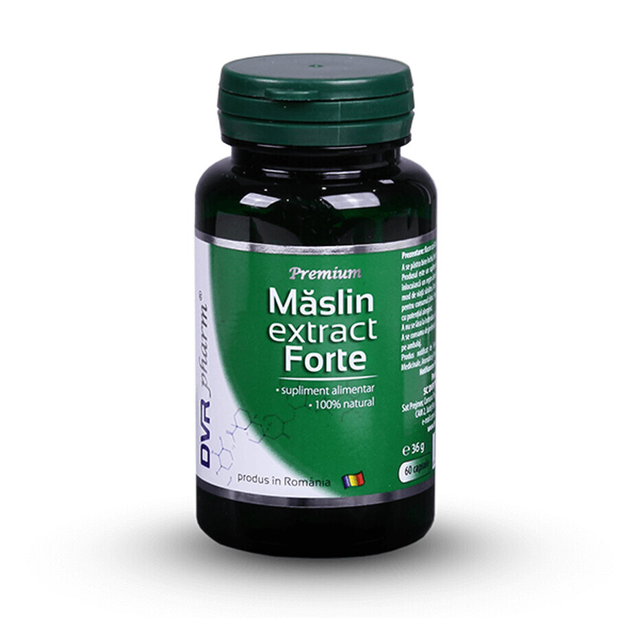 Extrait de maslin forte, 60 gélules, Dvr Pharm