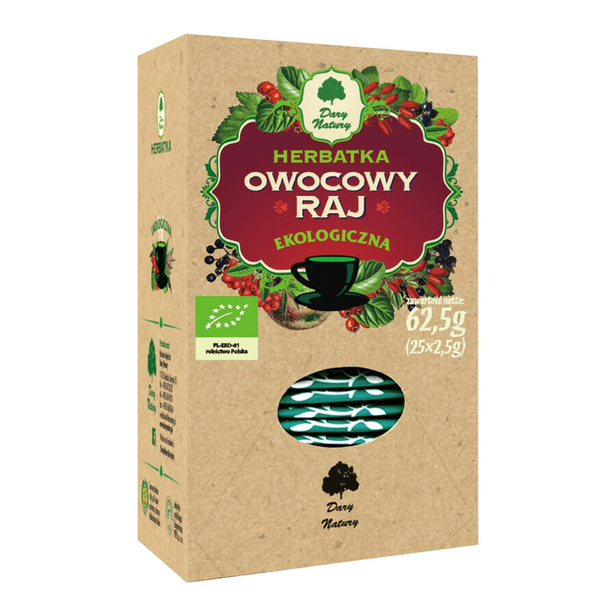 Dary Natury Owocowy Raj, biologische thee, 2.5 g x 25 builtjes