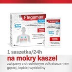 Flegamax Forte 2.7g, 6 sachets