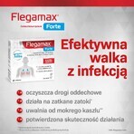 Flegamax Forte 2.7g, 6 sachets