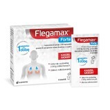 Flegamax Forte 2.7g, 6 zakjes