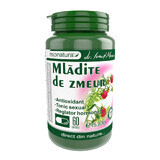 Mlădițe de Zmeur, 60 capsules, Pro Natura