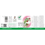 Mlădițe de Zmeur, 60 capsules, Pro Natura