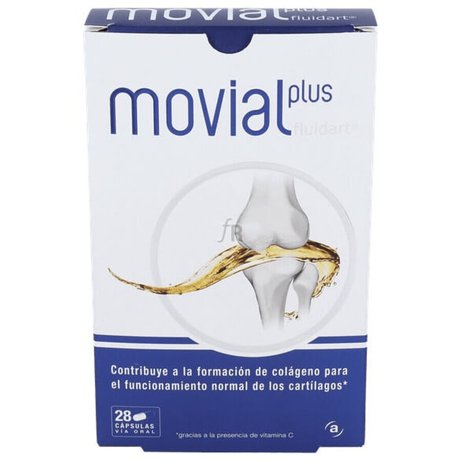 Movial Plus Fluidart, 28 gélules, ActaFarma