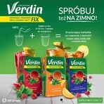 Verdin Fix met citrusvruchten, 20 zakjes