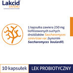 Lakcid Entero 250 mg, 10 capsules