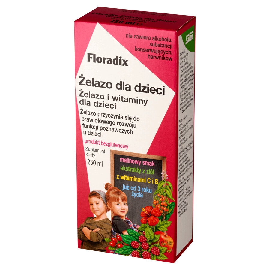 Floradix iron for children from 3 years, 250 ml