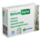 Betula Forte, 30 capsules