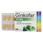 Ginkofar Vital, 60 filmomhulde tabletten