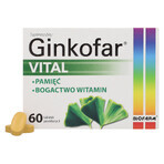 Ginkofar Vital, 60 filmomhulde tabletten