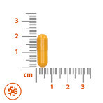 SEMA Lab Vitamine C 1000 mg, 10 cellulosecapsules