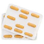 SEMA Lab Probiotic + Prebiotic, 20 Kapseln mit verzögerter Freisetzung