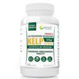 Wish Kelp Extract, iode 325 µg + prébiotique, 120 gélules