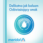 Meridol Complete Care, mondwater, alcoholvrij, 400 ml