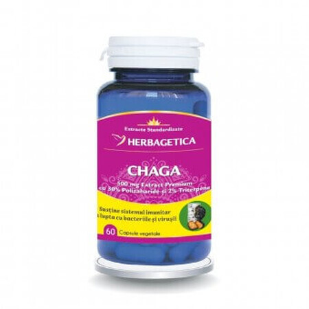 Herbagetica Chaga x 60 stuks