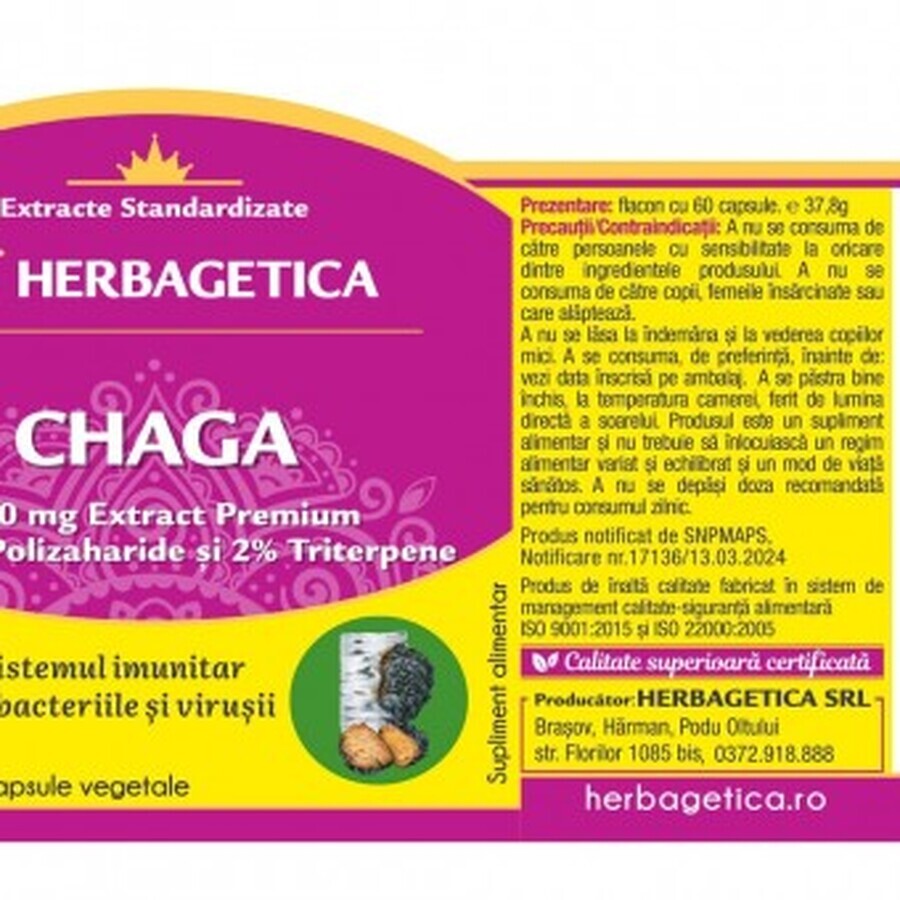 Herbagetica Chaga x 60 stuks