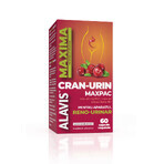 Supplement for the protection, comfort and normal functioning of the reno-urinary system Cran-Urin Maxpac, 60 vegetable capsules, Alavis Maxima