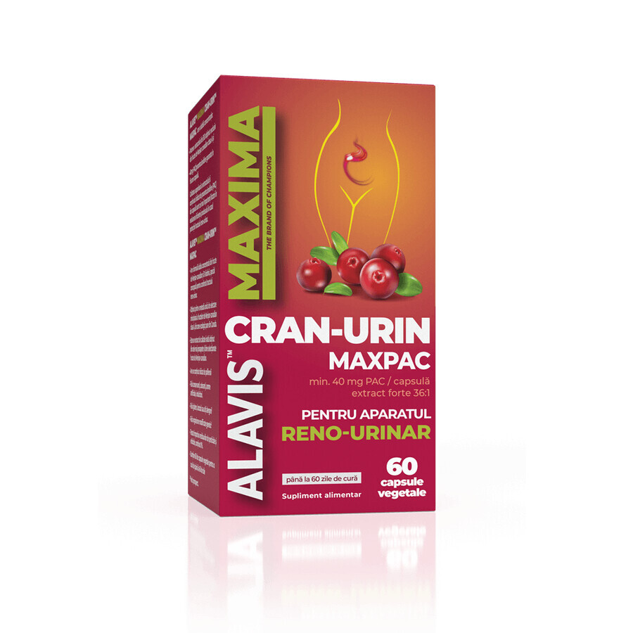 Supplement for the protection, comfort and normal functioning of the reno-urinary system Cran-Urin Maxpac, 60 vegetable capsules, Alavis Maxima