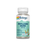 Psyllium Husk, 525 mg, 100 plantaardige capsules, Solaray