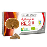 Reishi, 30 capsules, Marnys