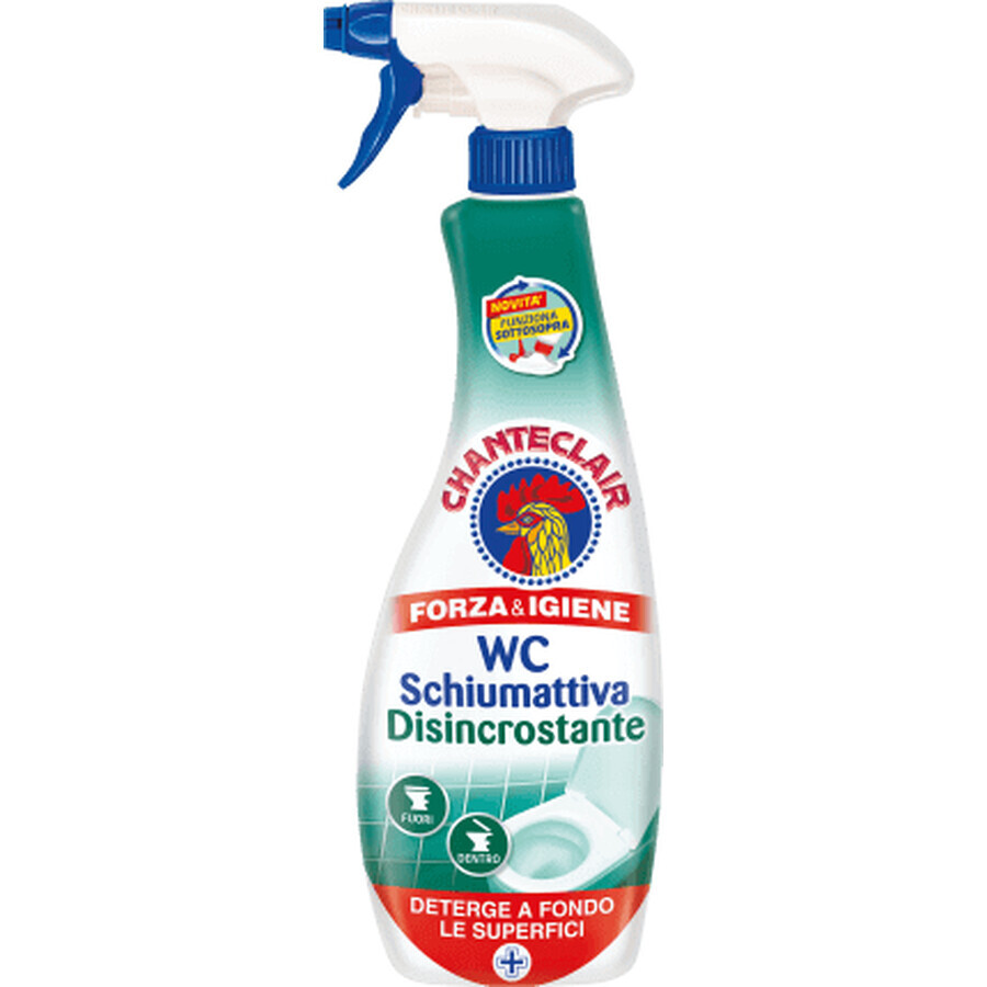 Chanteclair Toilet cleaning solution anti limescale, 625 ml