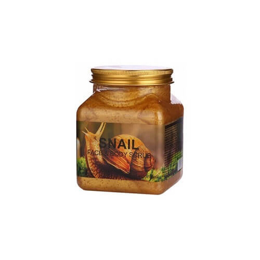 Natural Scrub for Face and Body, with Snail Extract, Wokali, Snail, 350 ml