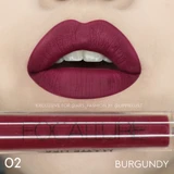 Focallure matte liquid lipstick Shade 02 Burgundy