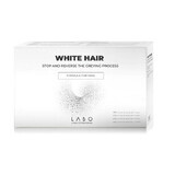 Anti-grijsbehandeling voor mannen met wit haar, 40 flacons, Labo
