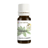 Copaiba etherische olie, 10 ml, Aghoras