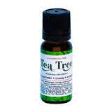 Tea Tree etherische olie, 10 ml, Divine Star