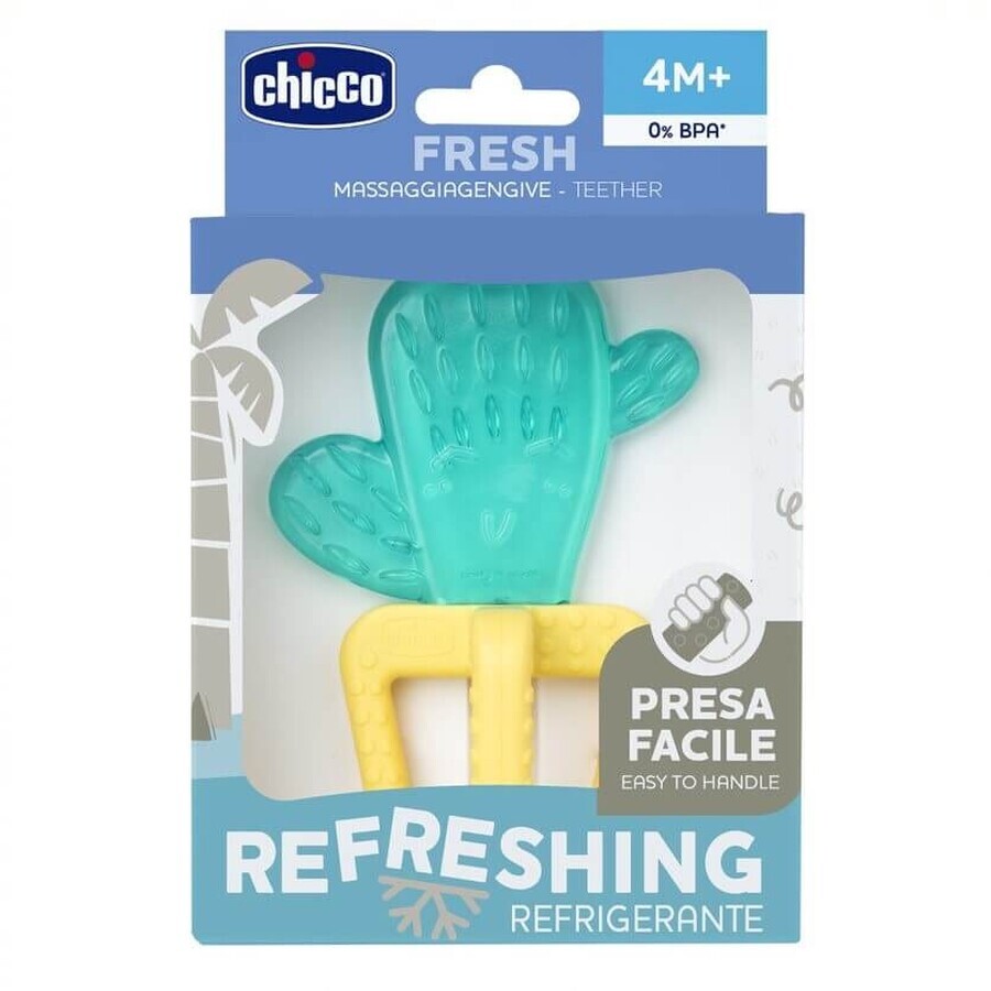 Chicco Water Cactus Bijtring 4m+