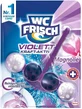 Toilet Frisch Violett Kraft Aktiv Magnolie, Hangend closet, 1 st