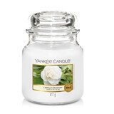 Yankee Candle Camellia Blossom Geurkrans, 411g