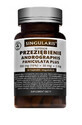 Singularis Przezibienie Andrographis Paniculata Plus 350mg (15%) + 30mg + 2mg, 60 capsules